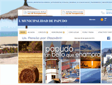 Tablet Screenshot of municipalidadpapudo.cl